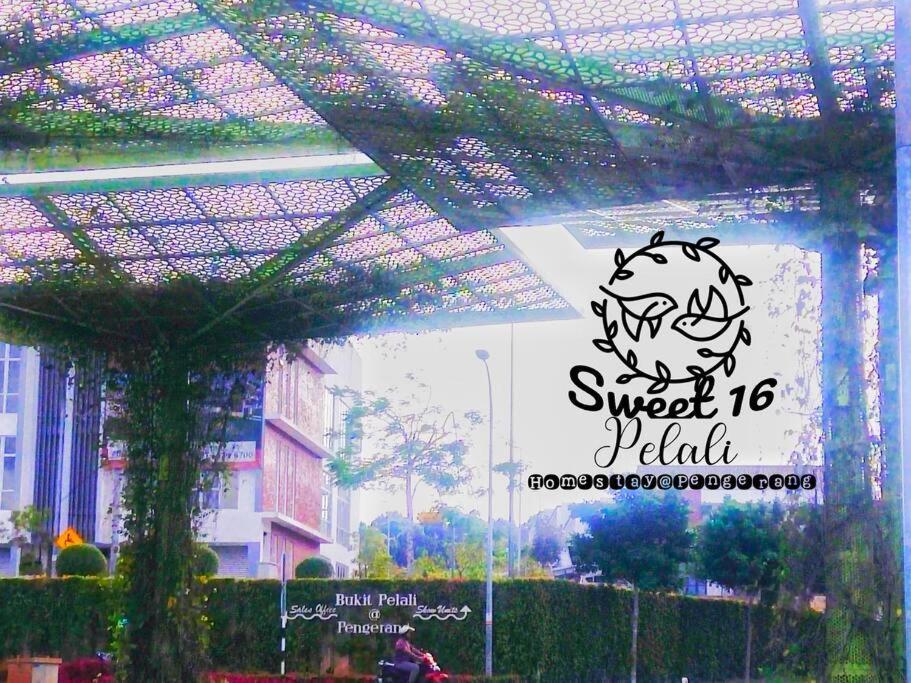 Sweet 16 Pelali Homestay بينجرانج المظهر الخارجي الصورة