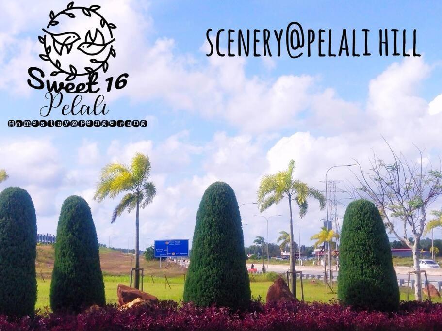 Sweet 16 Pelali Homestay بينجرانج المظهر الخارجي الصورة